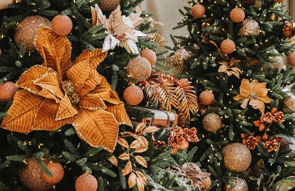 Create – Your Christmas Indulgence